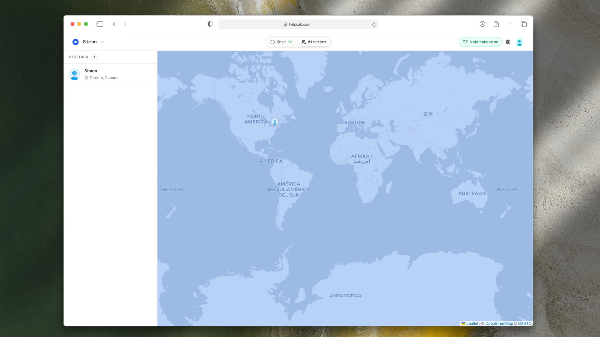 See who's on your site right now